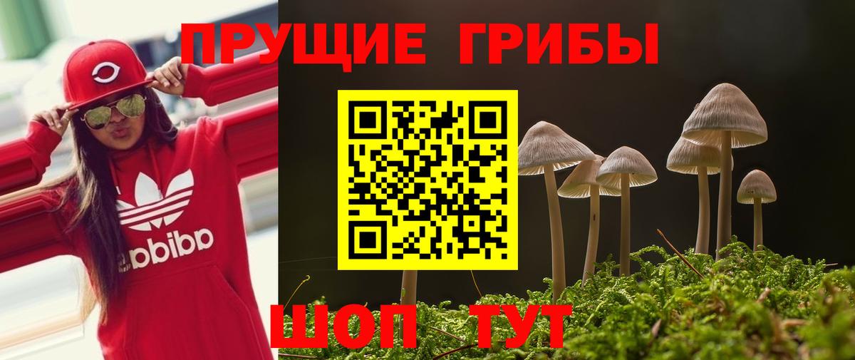 Галлюциногенные грибы мицелий  Галлюциногенные грибы прущие грибы  Вход с VPN  Искитим 