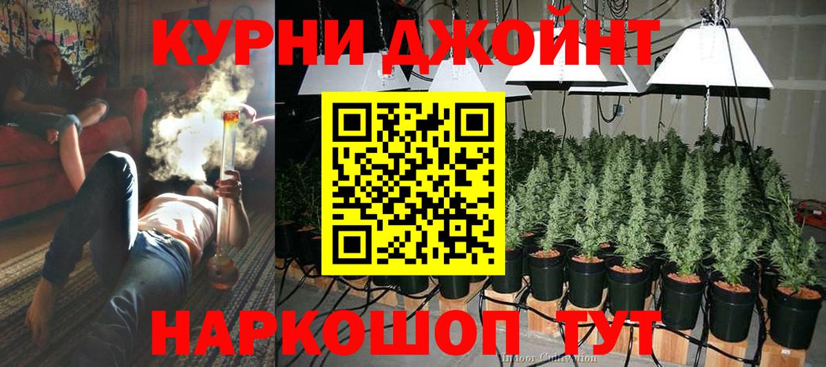 Канабис конопля Искитим